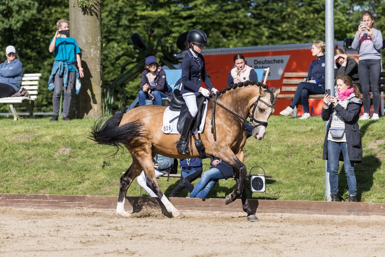 Bild 529 - Pony Akademie Turnier